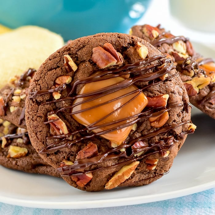 Turtle Cookies